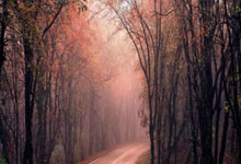 竞技宝官网：[冠军欧洲]马竞点球淘汰国米 晋级欧冠八强.