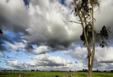 竞技宝官网：一传出色扣球暴力，云南出主攻新星！她可与缪伊雯竞争小主攻位置.