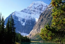 竞技宝官网：[乒乓球]王曼昱因伤退出十五运女团和混双资格赛.